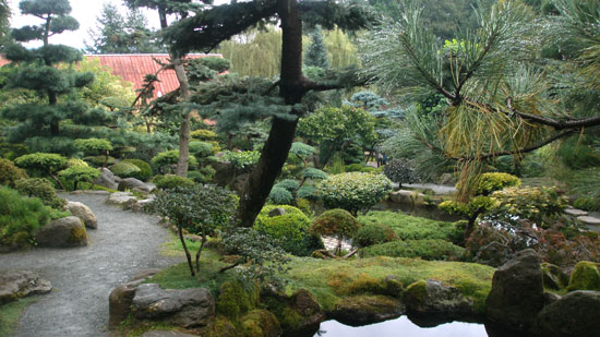 Ogród japoński w Jarkowie